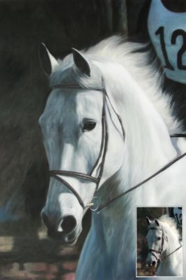 Your horses portrait